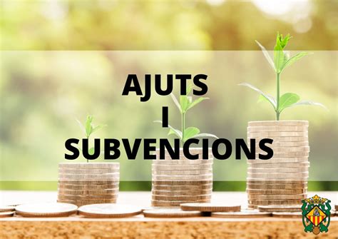 apualamiento en manresa|Subvencions i ajuts a lhabitatge